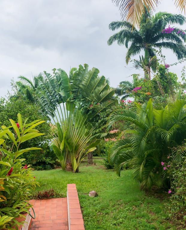 Royal Palm Holiday Apartment Mero Luaran gambar